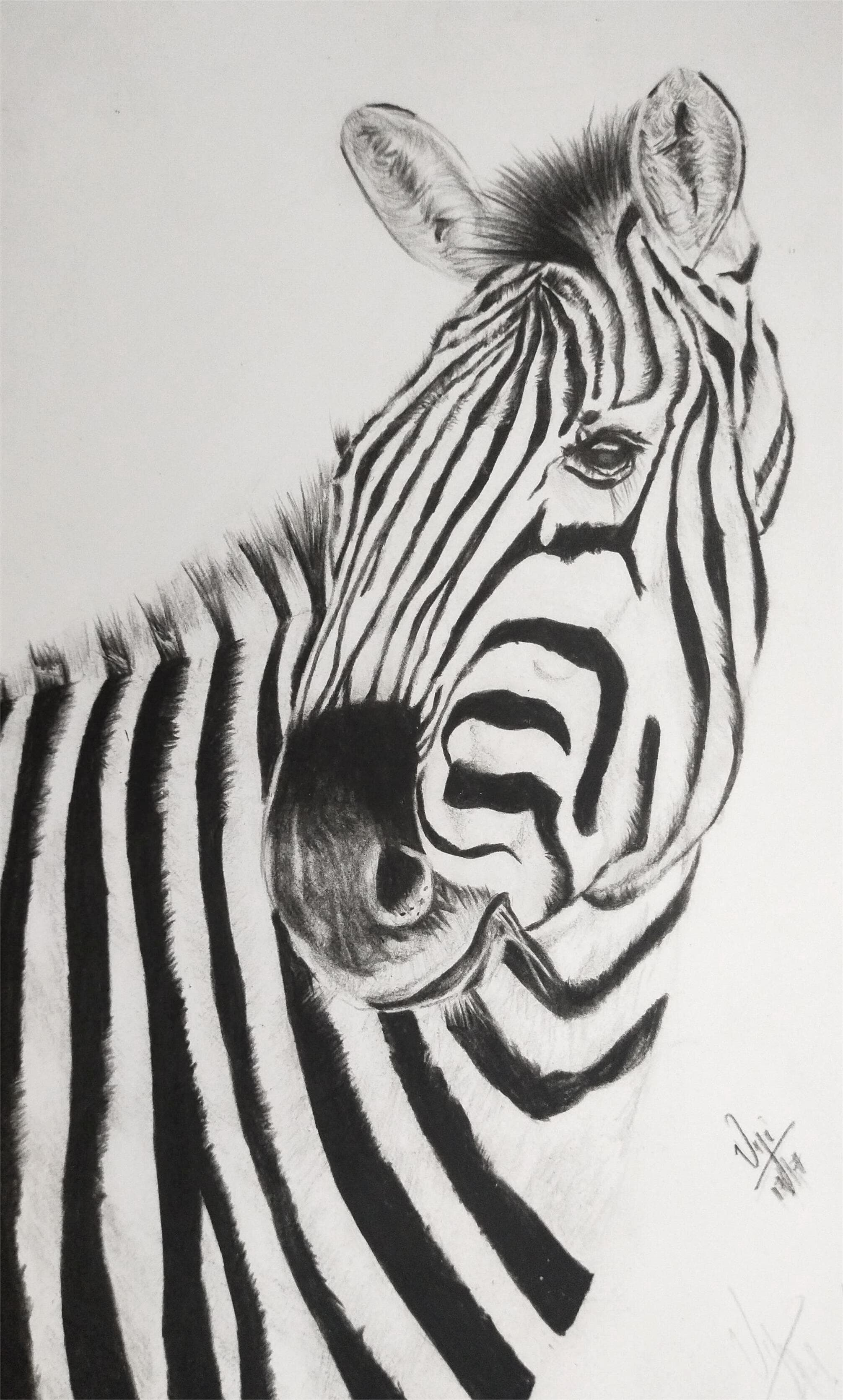Pencil Shading